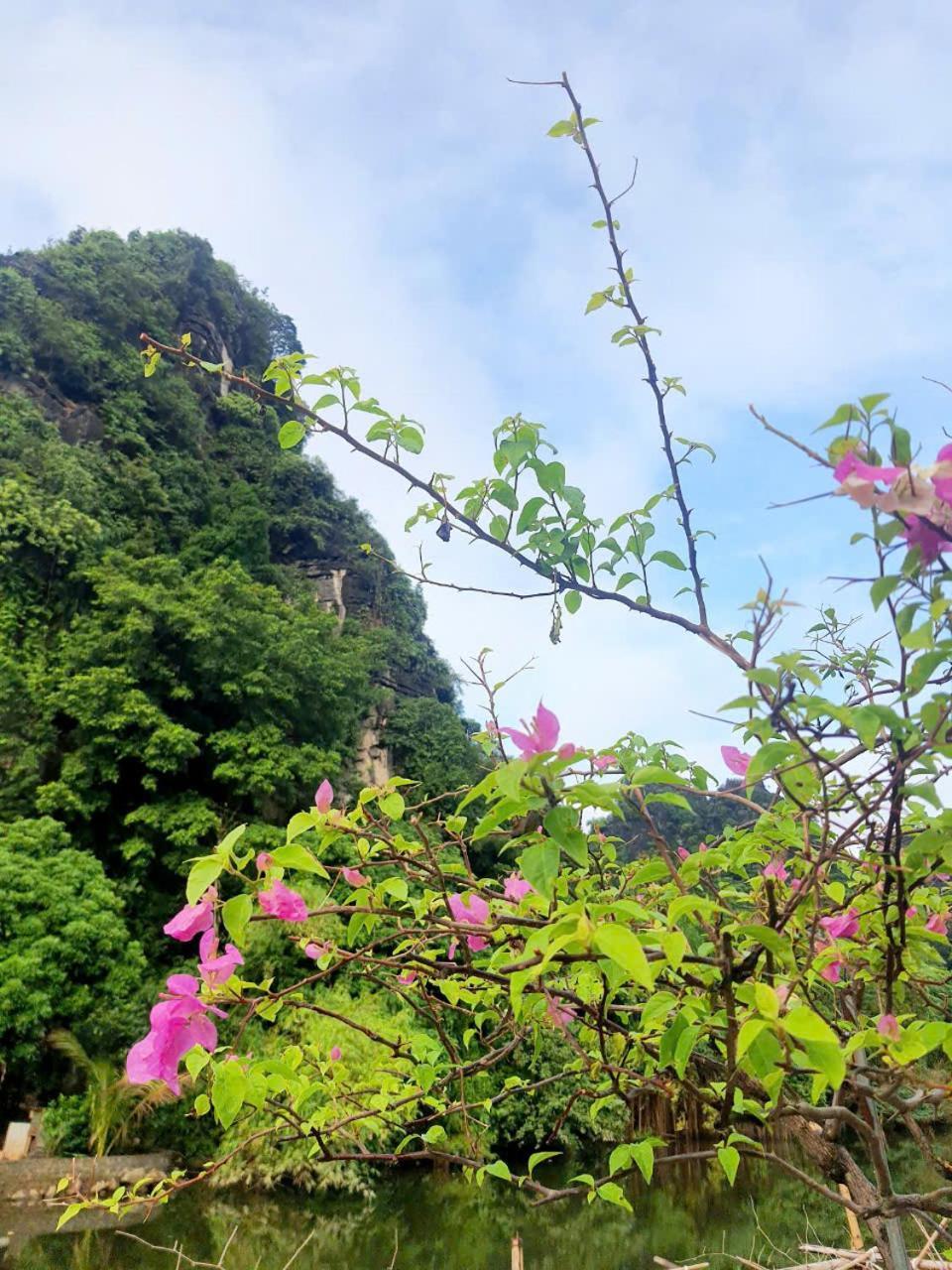 Trang An Hana Homestay Nguyen Ngoai Extérieur photo