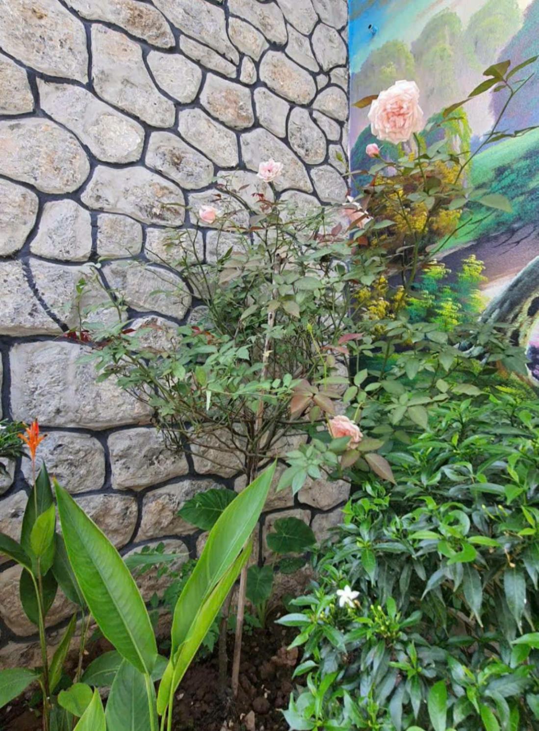 Trang An Hana Homestay Nguyen Ngoai Extérieur photo