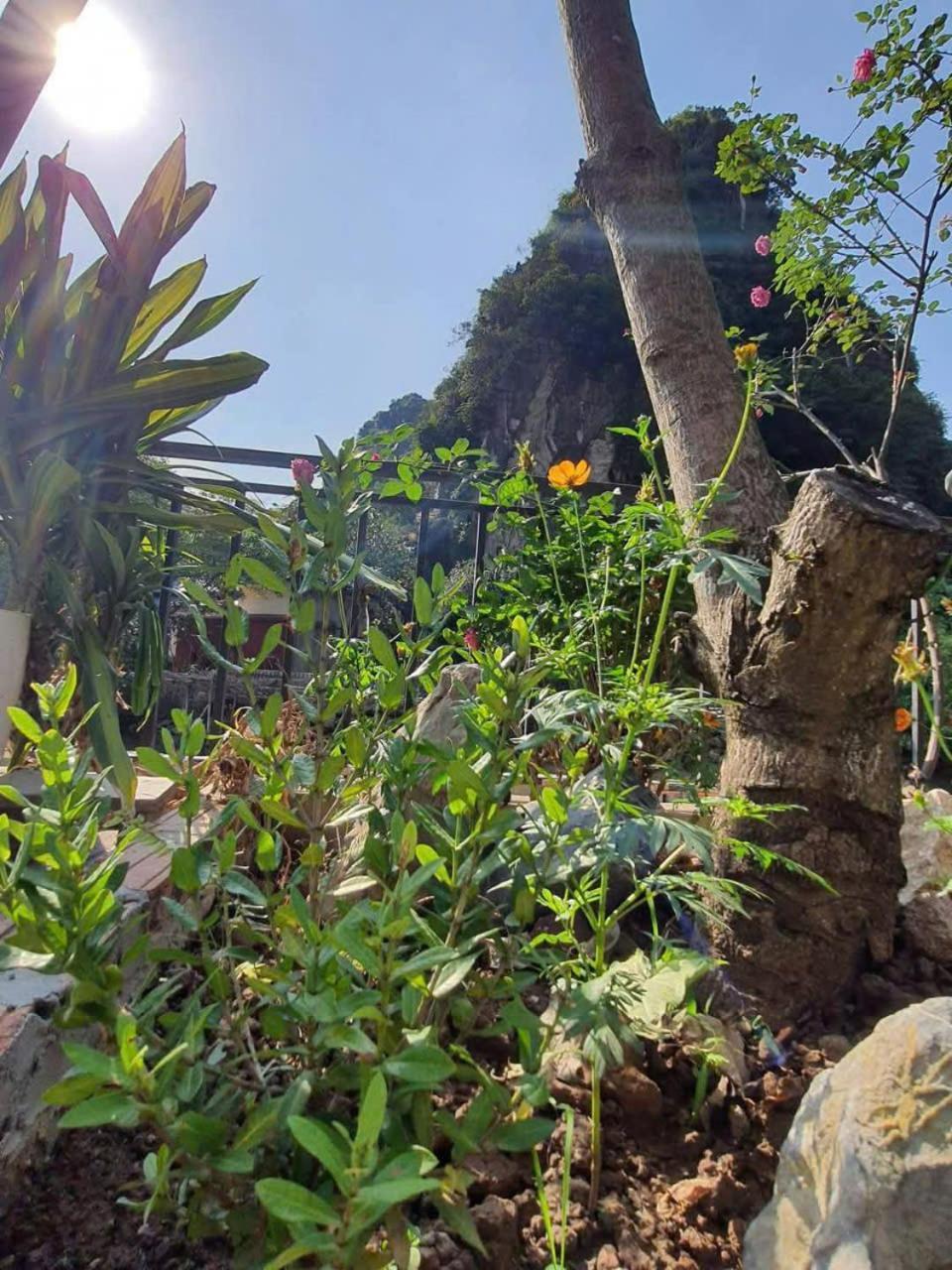 Trang An Hana Homestay Nguyen Ngoai Extérieur photo